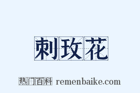 刺玫花是什么意思的图片